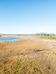 Patikkaretki luonnon helmaan Apukassa, Rovaniemellä