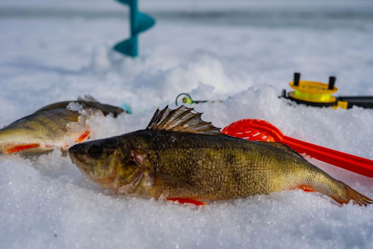 Ice Fishing on the Frozen Lake