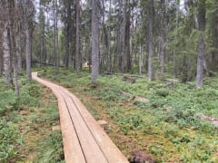 Multiharju in Seitseminen national park.
