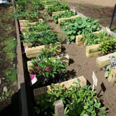 Pölkinvuoren Taimisto ja Puutarhamyymälä