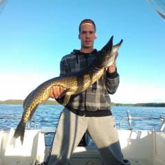 A man showing fish on his hands, a really big pike