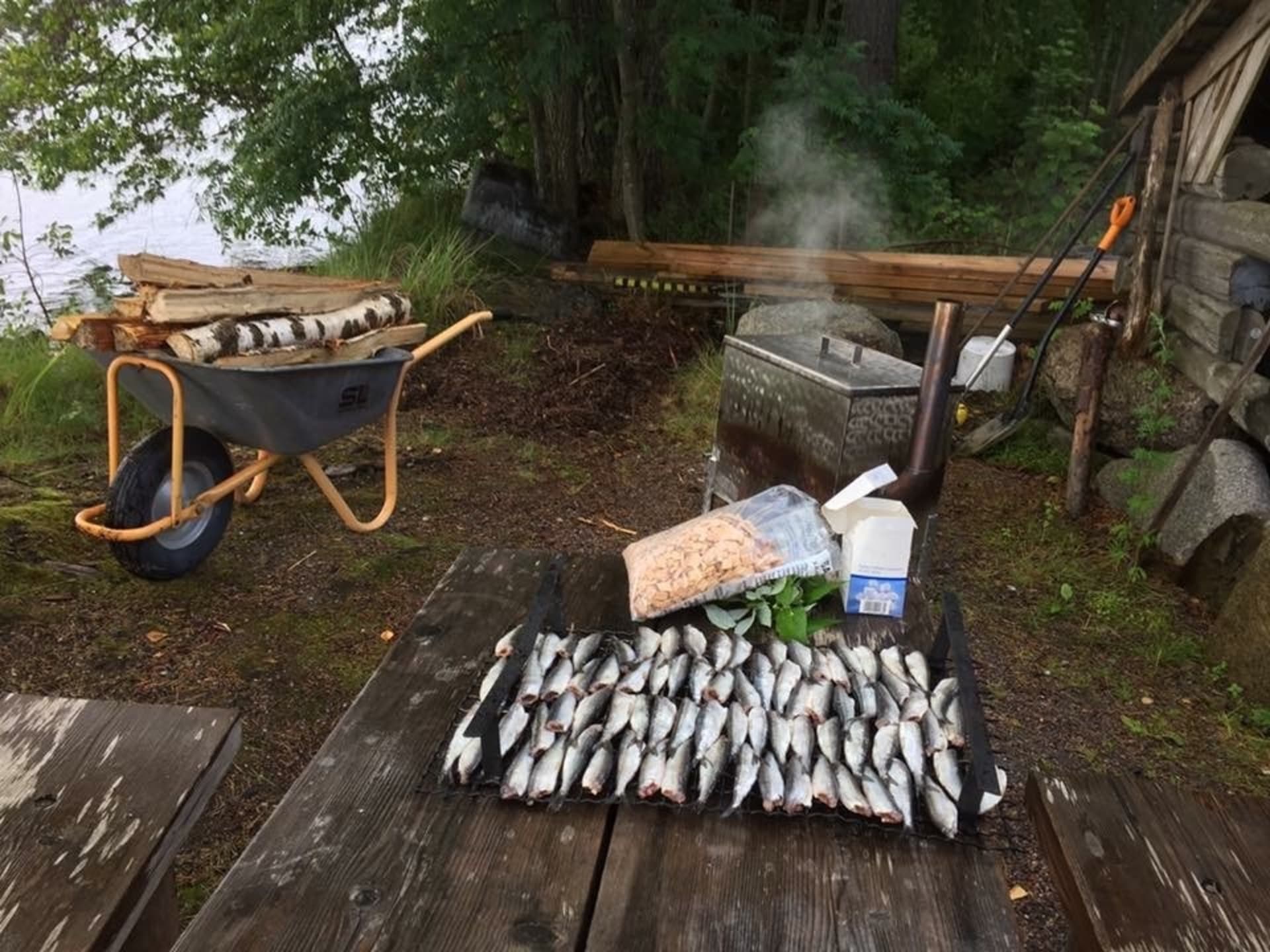 Pajula_Verkkoranta_smoking fishes