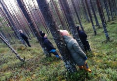 Luontoelämykset Rokualla - Naturest Oy