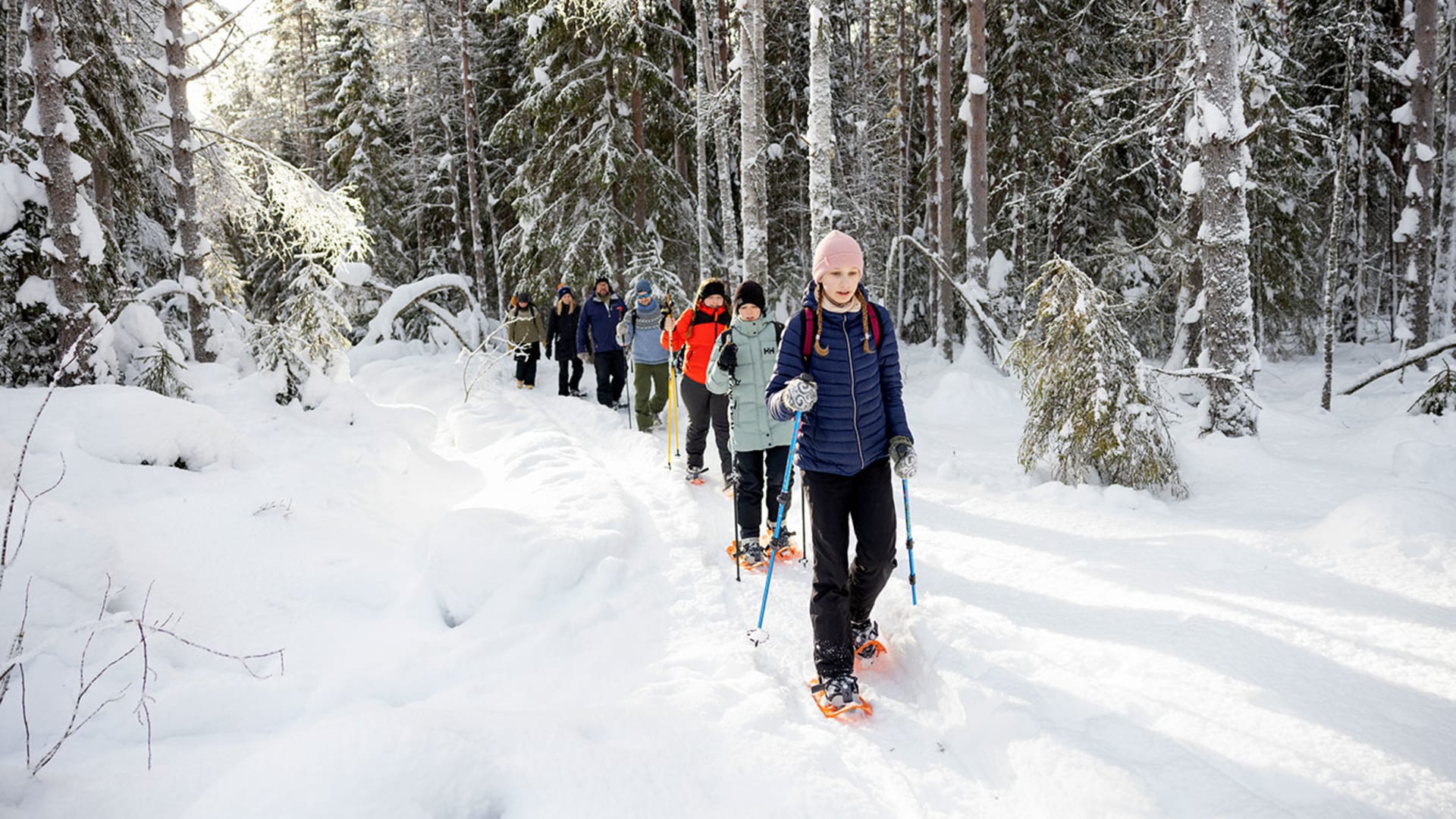 Ryhmä lumikenkäilijöitä kulkee jonossa lumisessa metsässä. / A group of snowshoers walking in a line in snowy forest. Kuva: Harri Tarvainen.