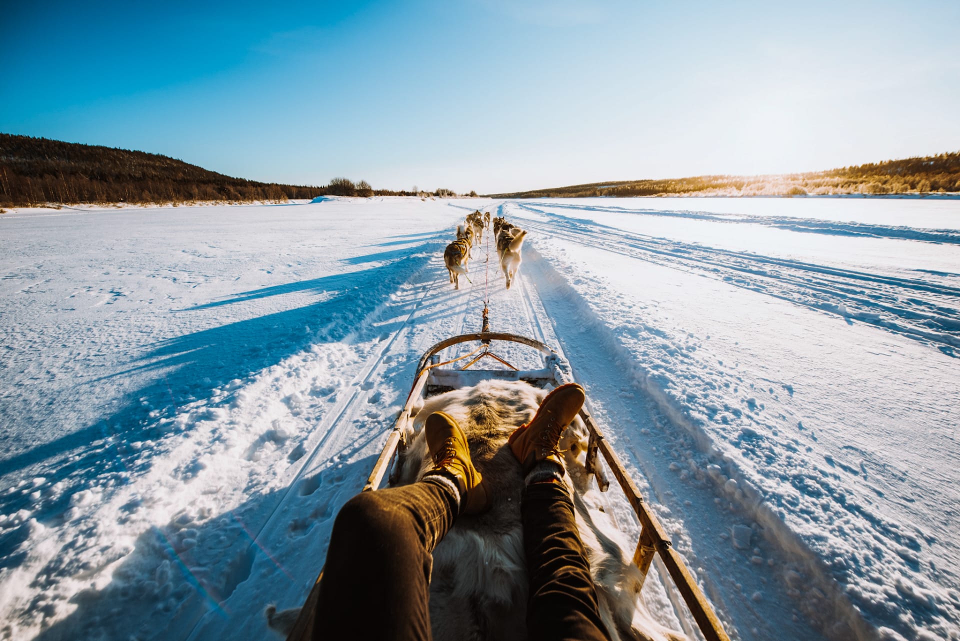 Visit a Husky farm and 2 h Premium Safari | Visit Finland