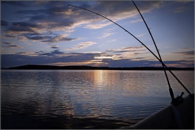 Summer fishing view