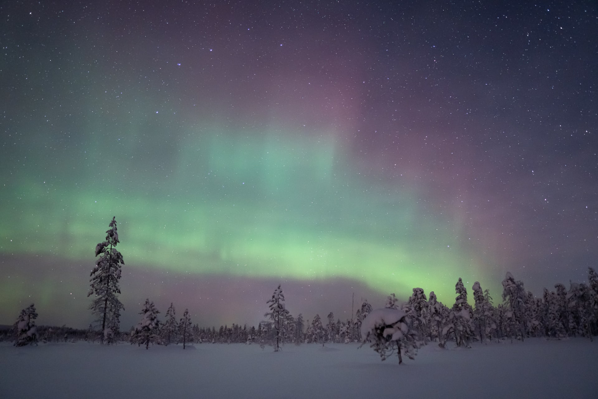 Tailor-made holiday package in Lapland | Visit Finland