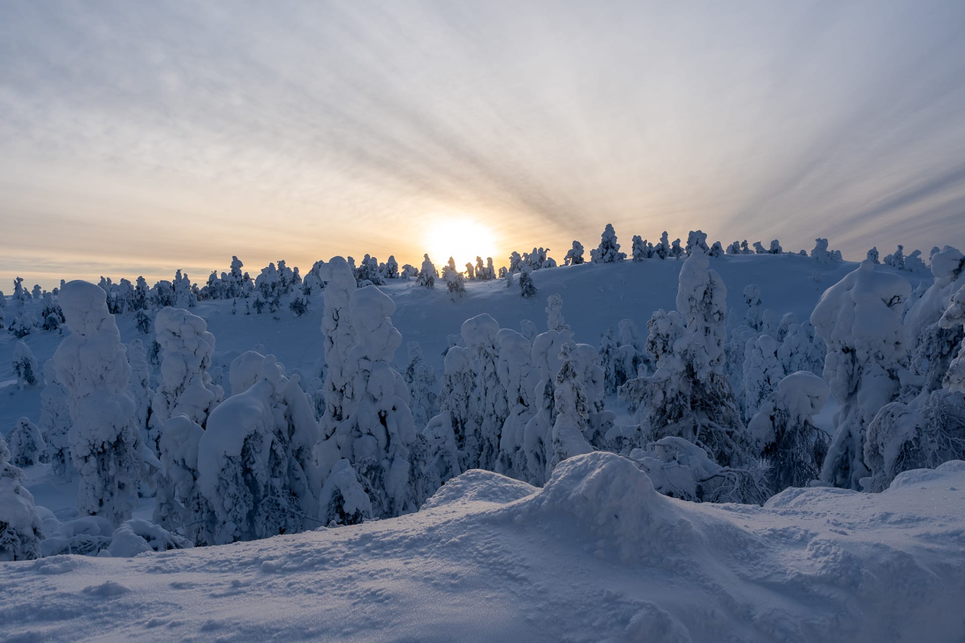 Winter Landscape Ruka