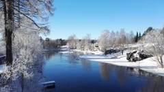 Hartolan Kuninkaanpolku