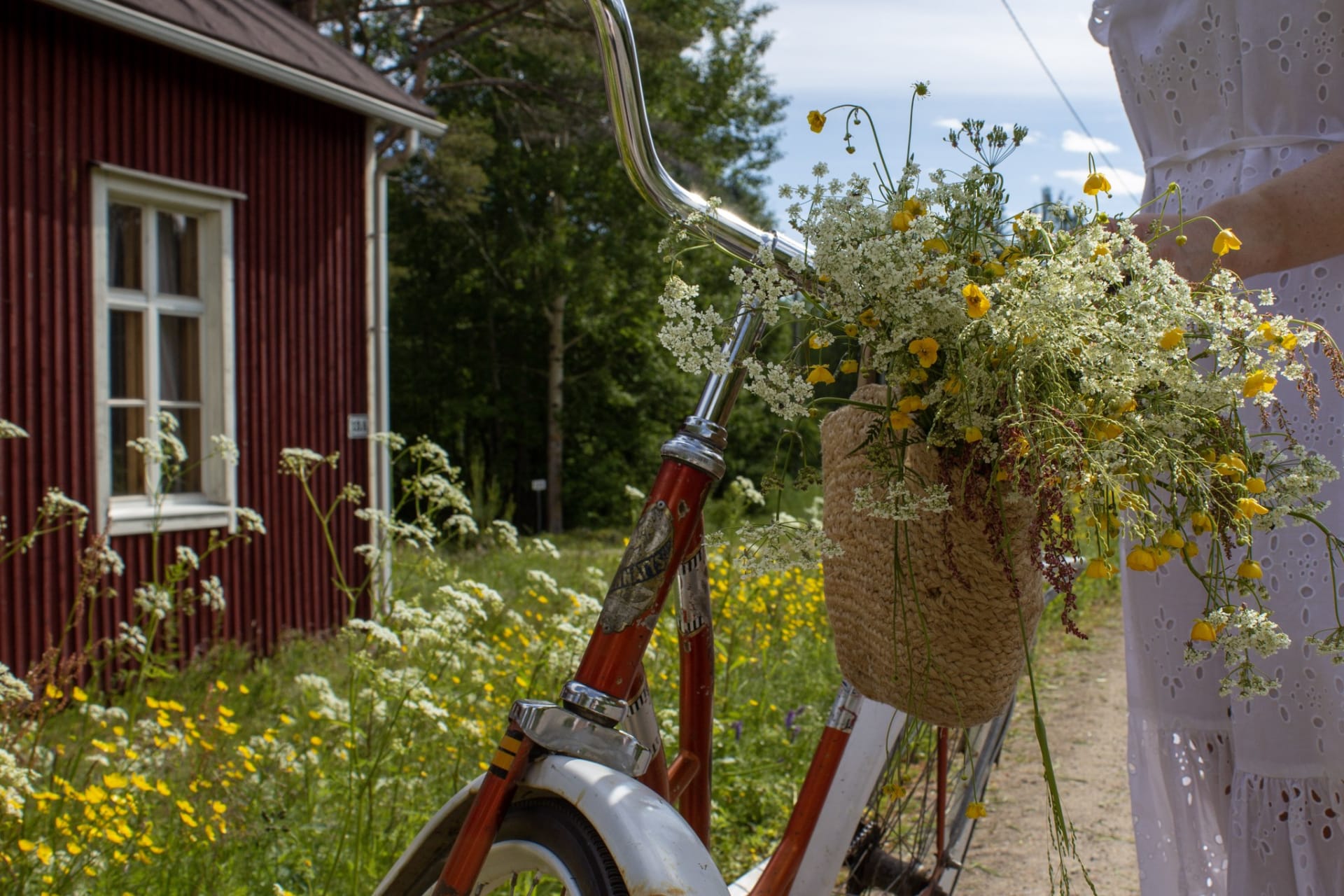 Kukkia pyörän etukorissa Karinkanta Siikajoki