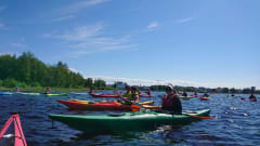 We take also groups to the kayaking