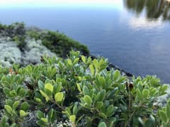 So green and so blue - the Lakeland nature at its best.