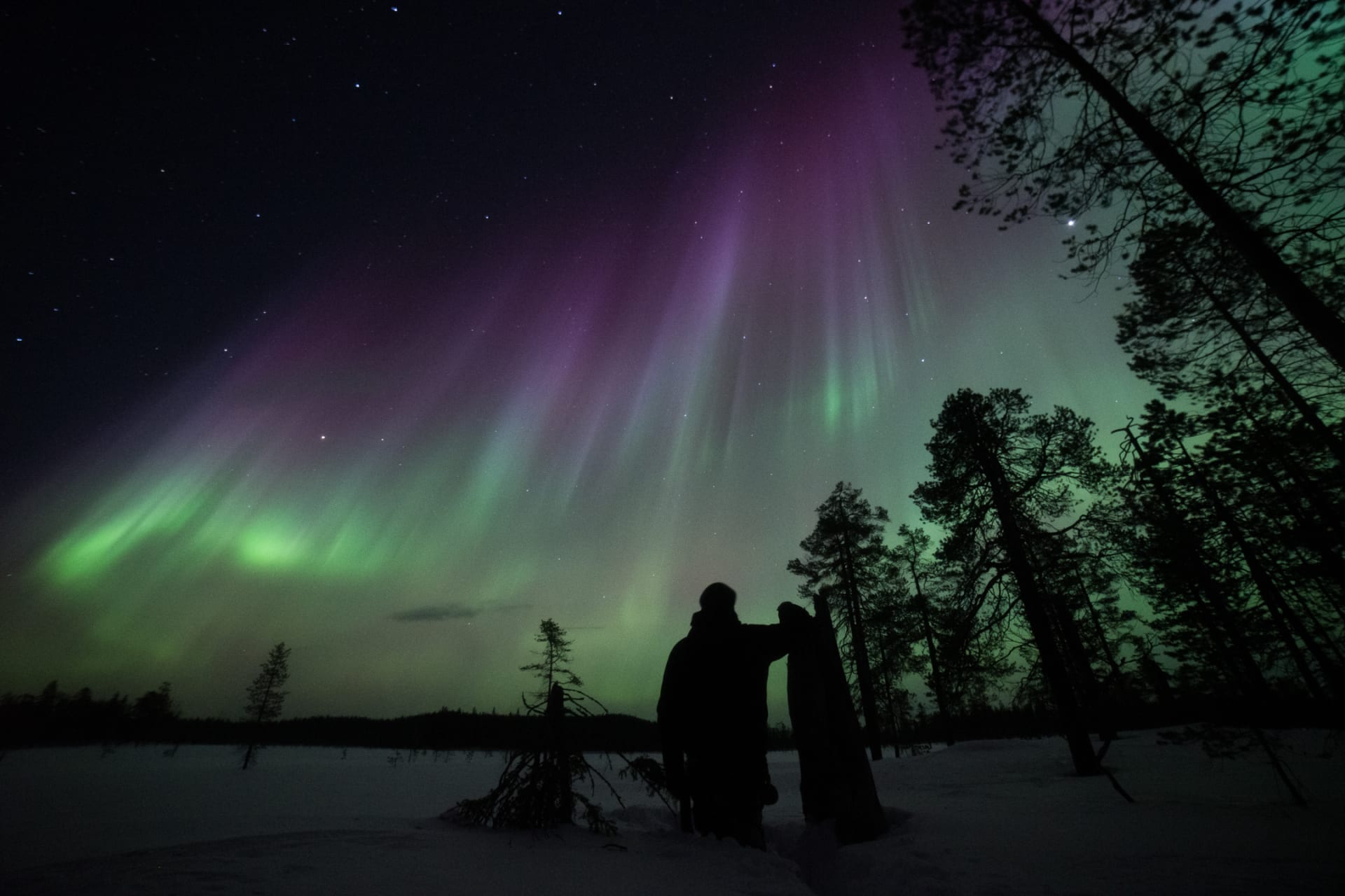 Aurora Borealis