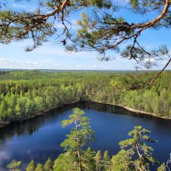 e-fatbike safari Repoveden Kansallispuistossa