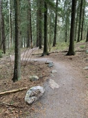 Opastettu luontoretki kaikilla aisteilla Tuusulassa