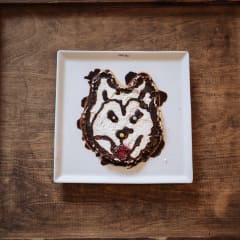 Husky pancake
