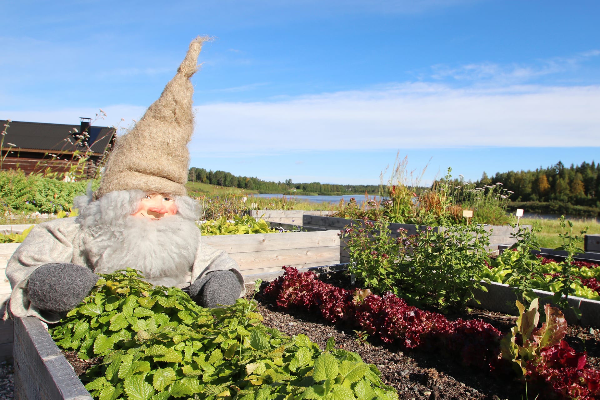 Herb garden