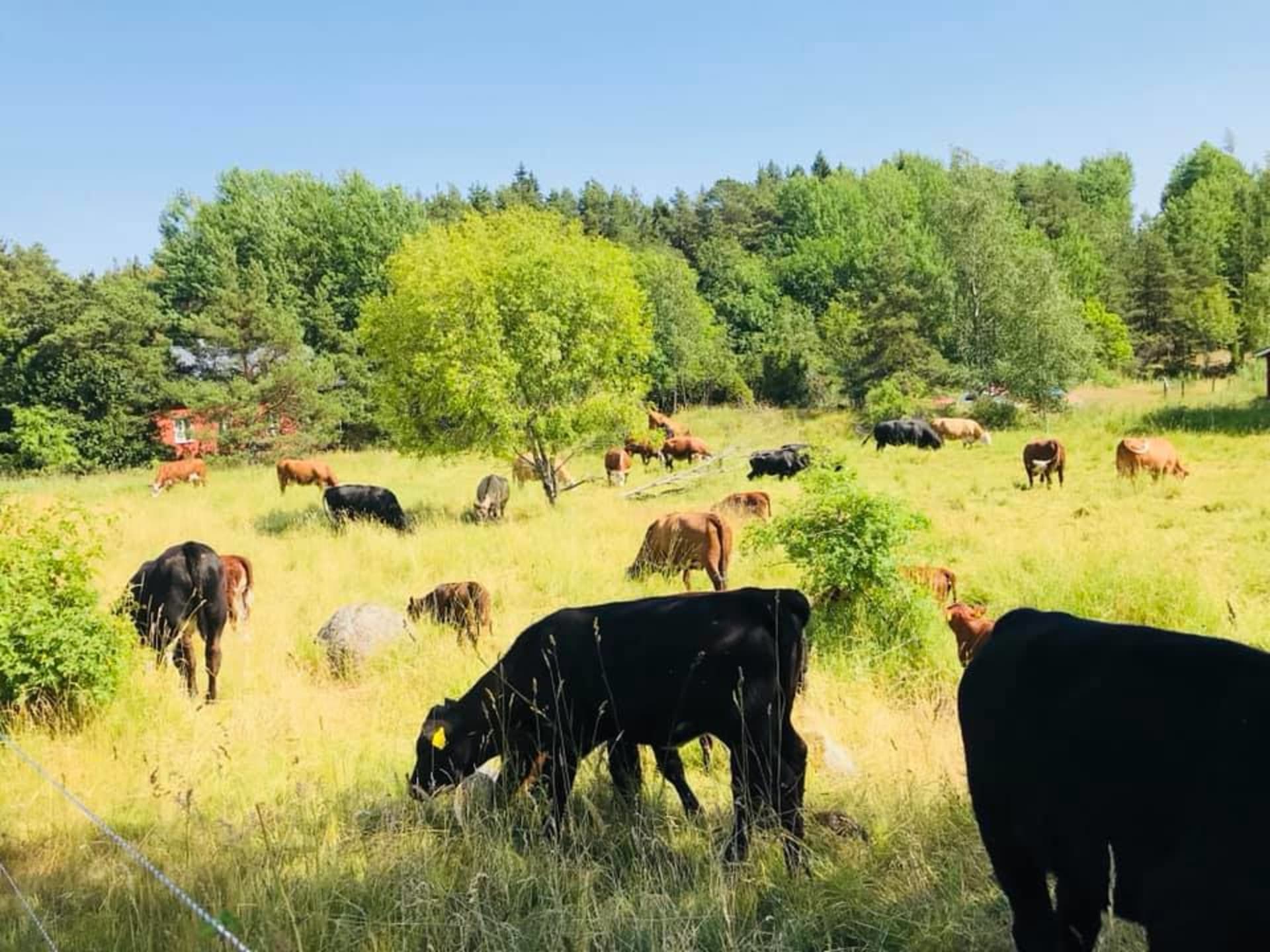 Stunning landscapes  Stunning landscapes