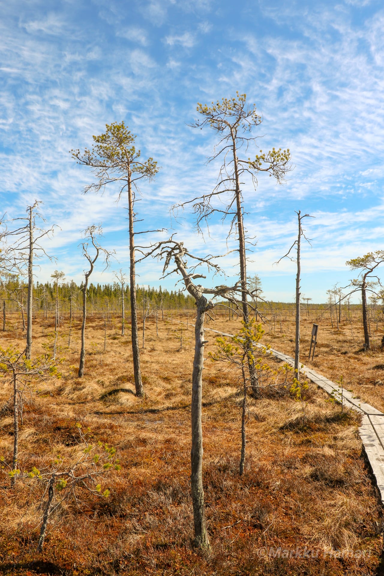 Hiking trip Sea Lapland