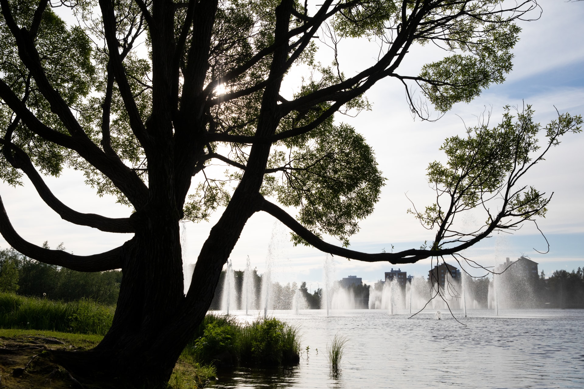 Waterfront scenery in Hupisaaret city parks.