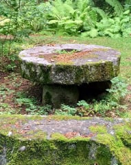 Opastetttu kierros Alakestilän Arboretumissa Limingassa