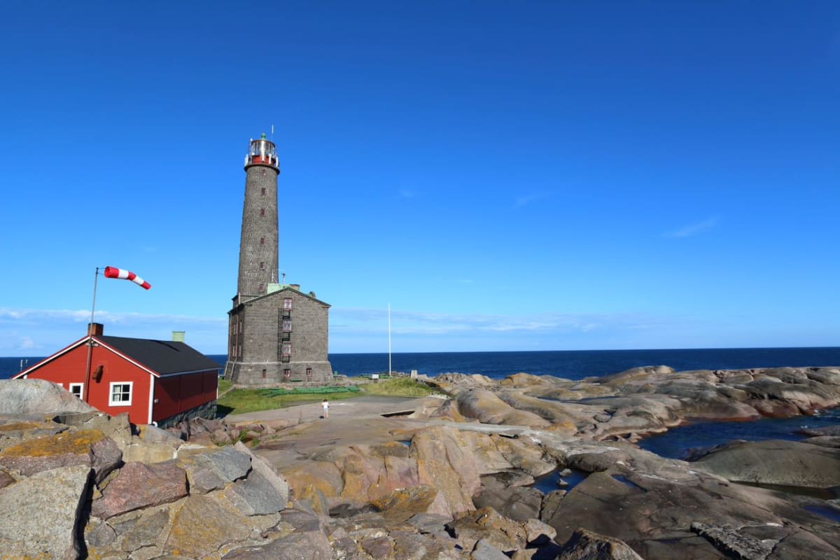 Eider Safari to Bengtskär Lighthouse