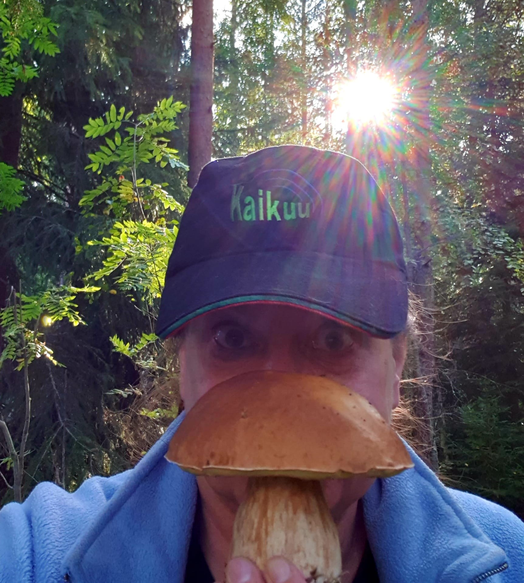 Picking mushrooms