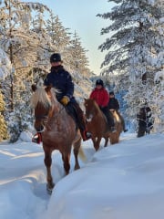2h vaellus kyläsepän pajalle