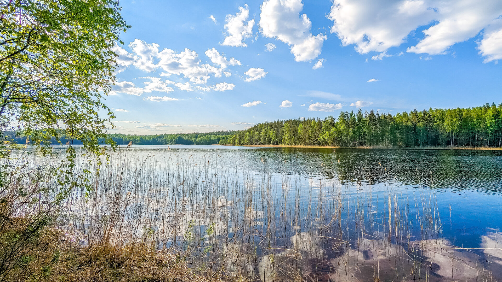 Lakeside view from the shore and peer