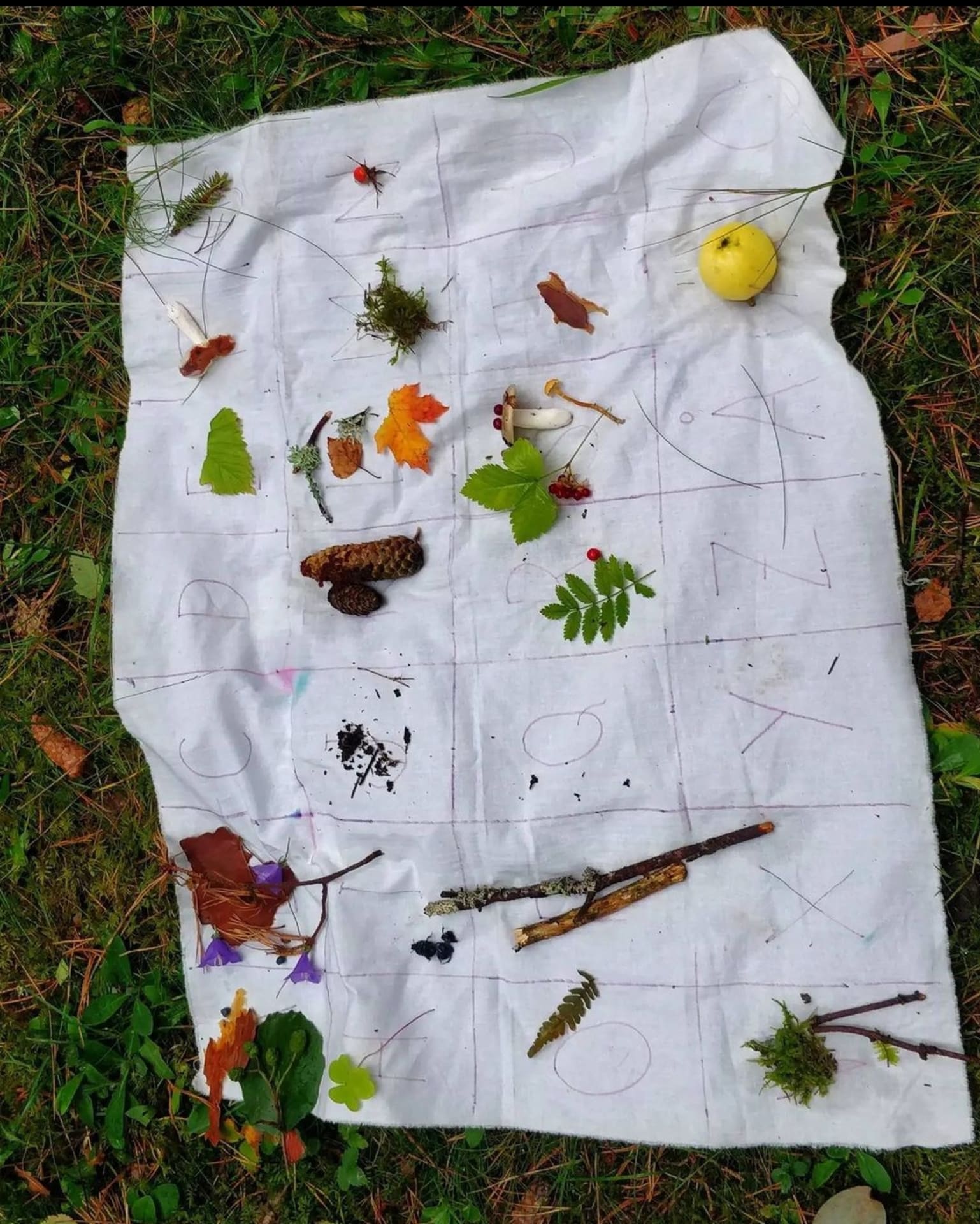 Alphabet from nature Alphabet from nature