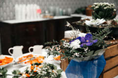 Olkkolan Hovin juhlat ja tilaisuudet