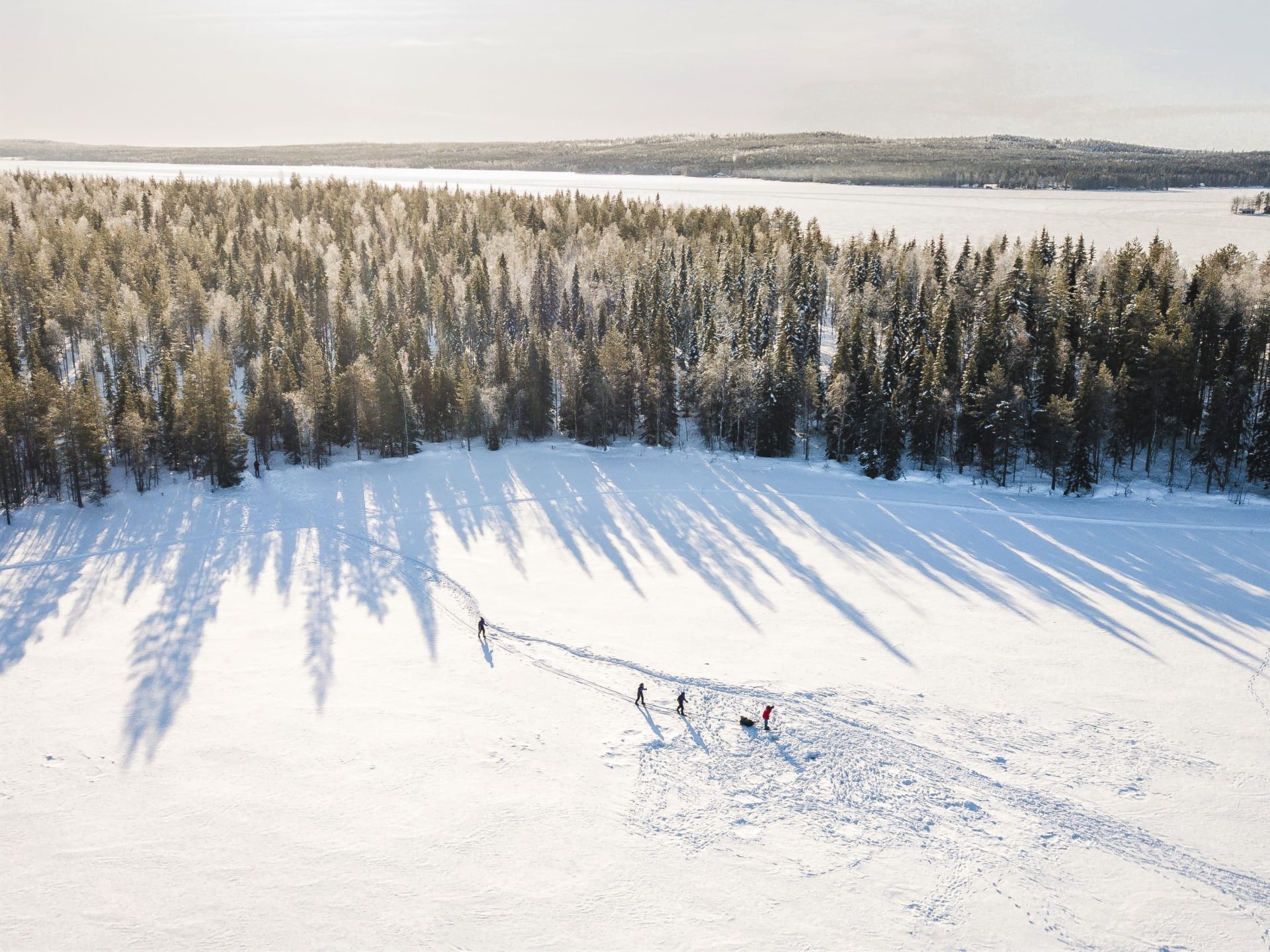 Beautiful winter sceneries in Lapland