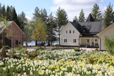 Villa Cone Beach and the Arctic Garden boast a private lakefront stretching 500 meters.
