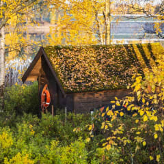 A shed at the Kaihu trail.
