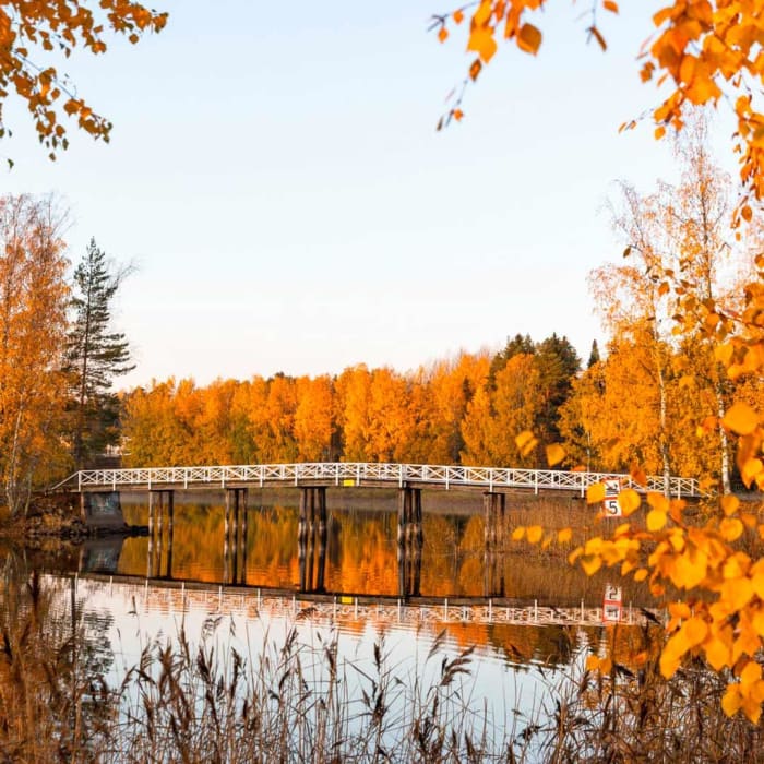 Autumnal view of Kaihu area. 