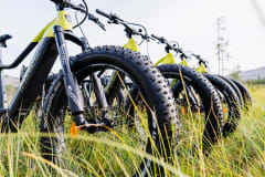 E-fatbike vuokraus