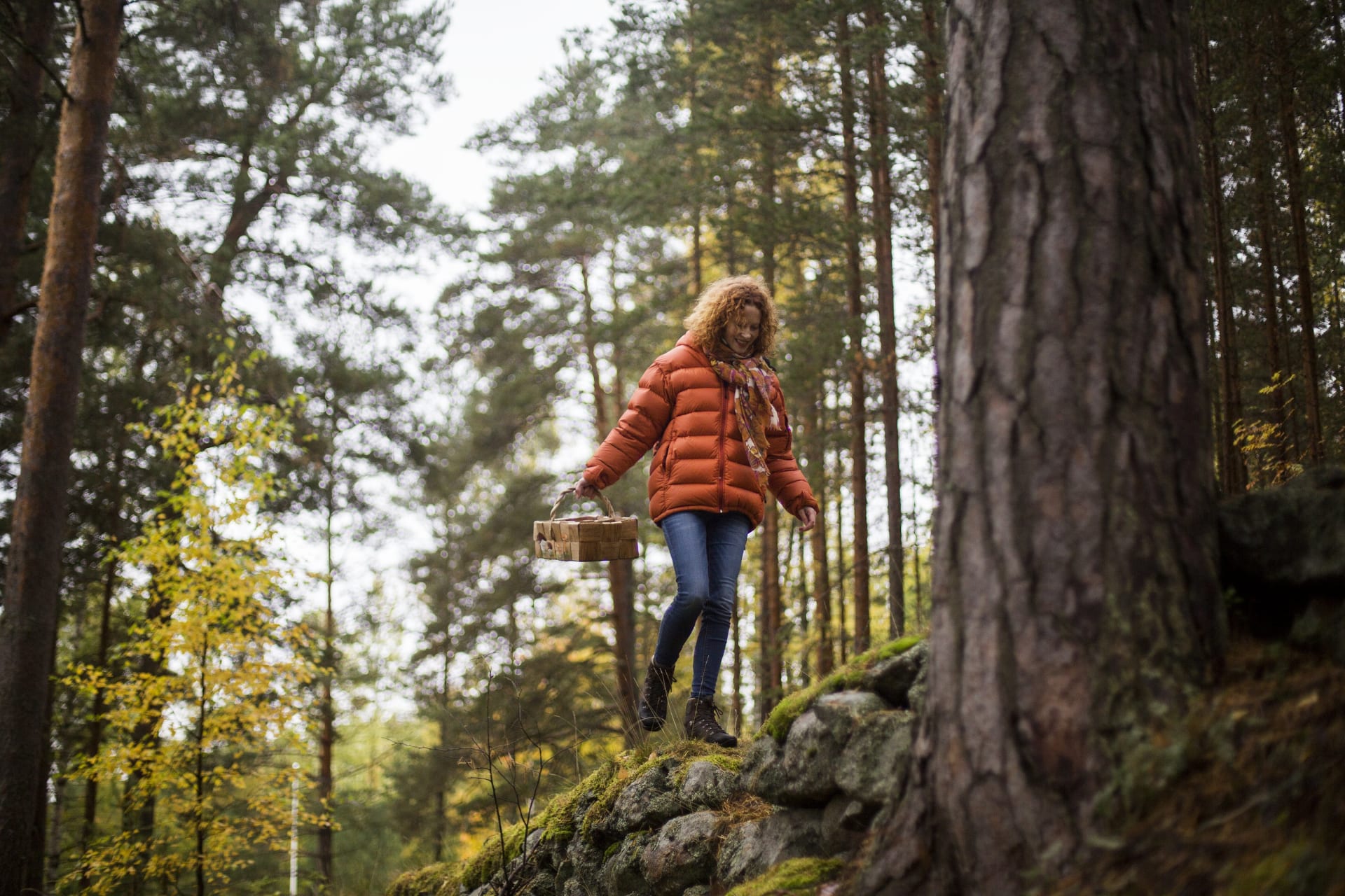3 hour Mushroom Excursion with a Guide in Punkaharju Forest, Saimaa
