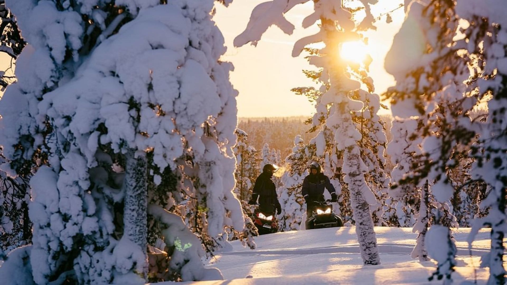 Snowmobile tour