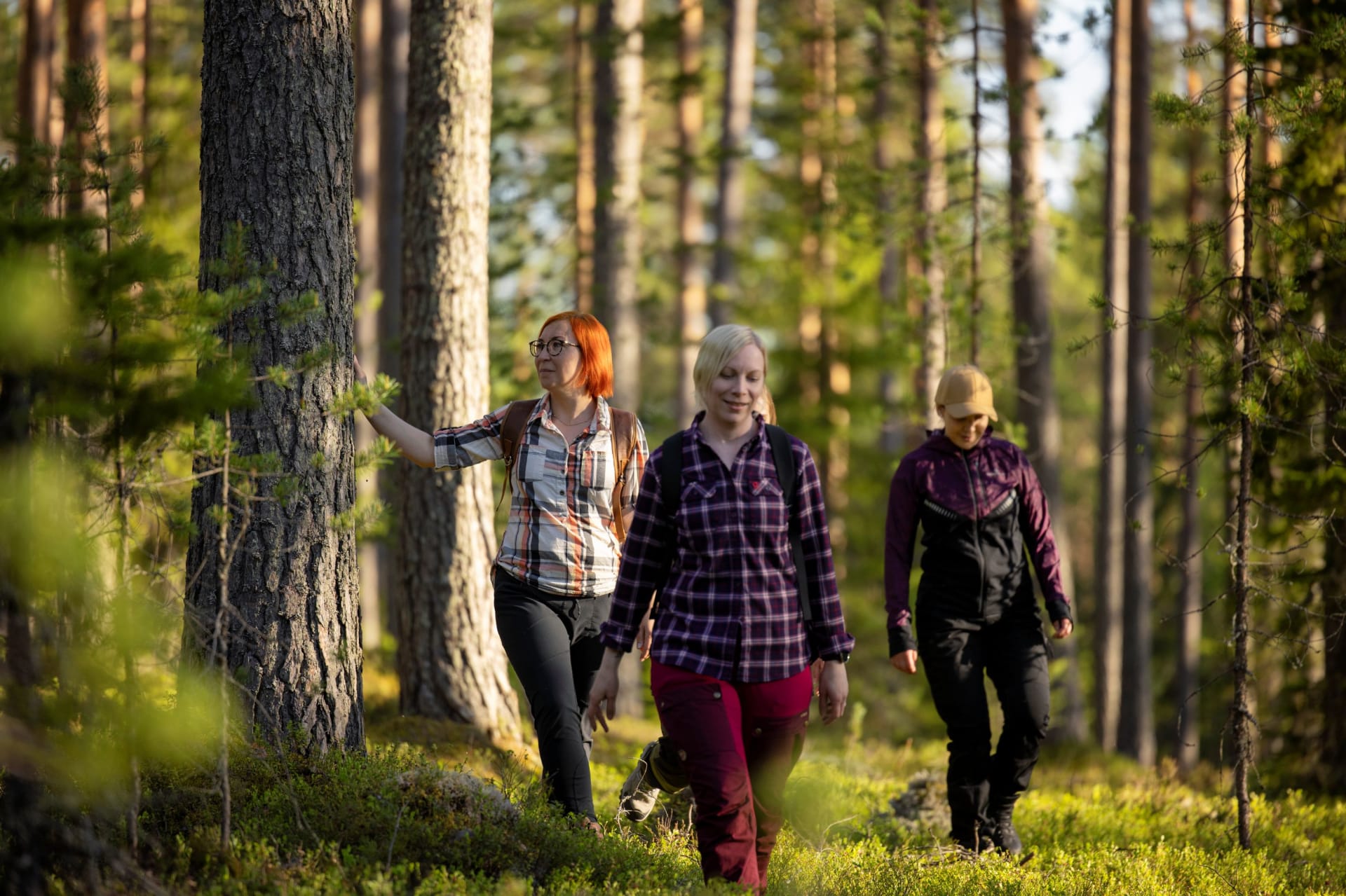 Majatalosta majataloon kävellen