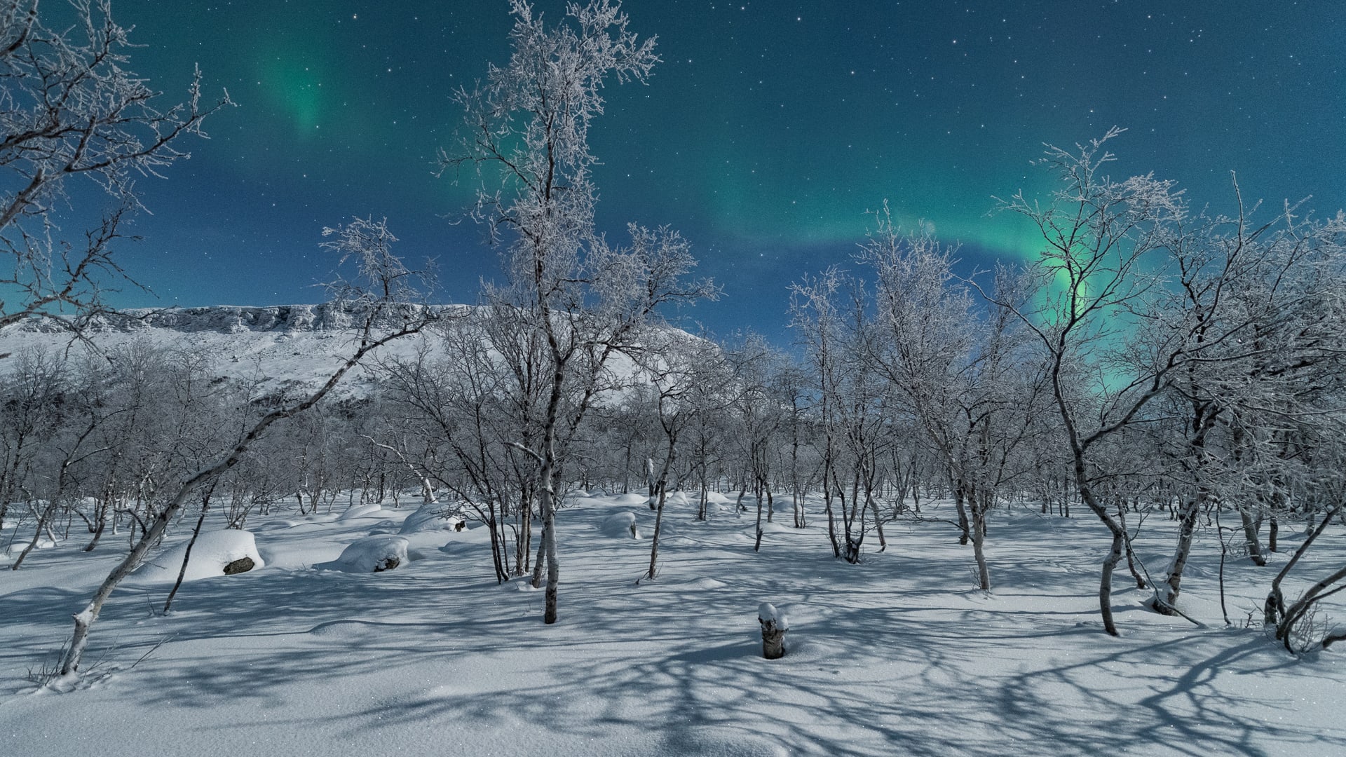 de3ff740-d4e7-11eb-a8b5-