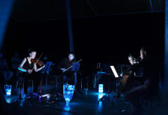 A string quartet performing in a dark concert hall surrounded by colorfully lit up vases