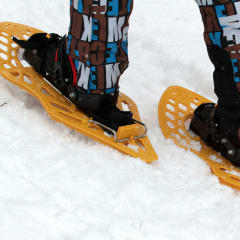 Snowshoes.