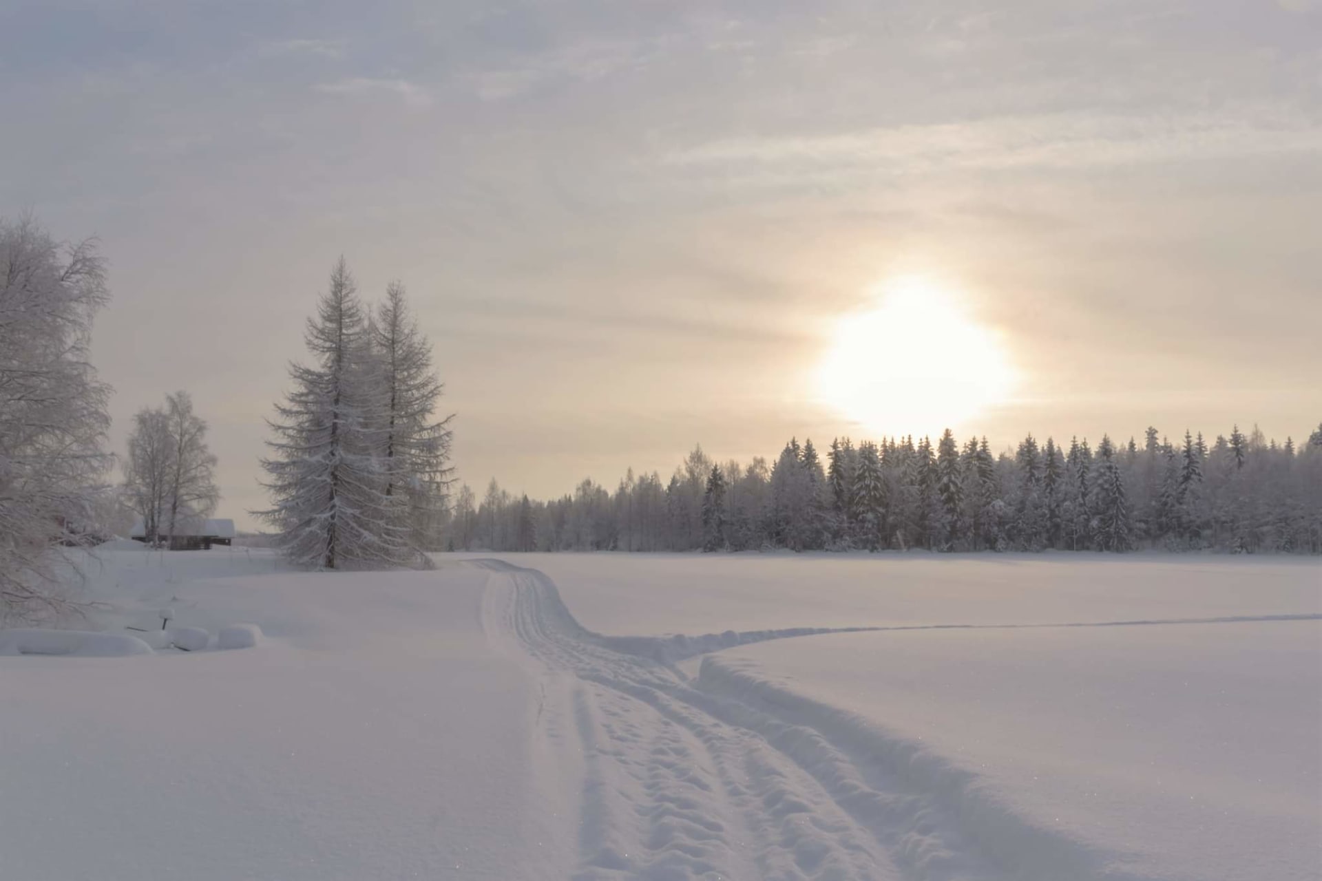 Ski Adventure in North Karelia