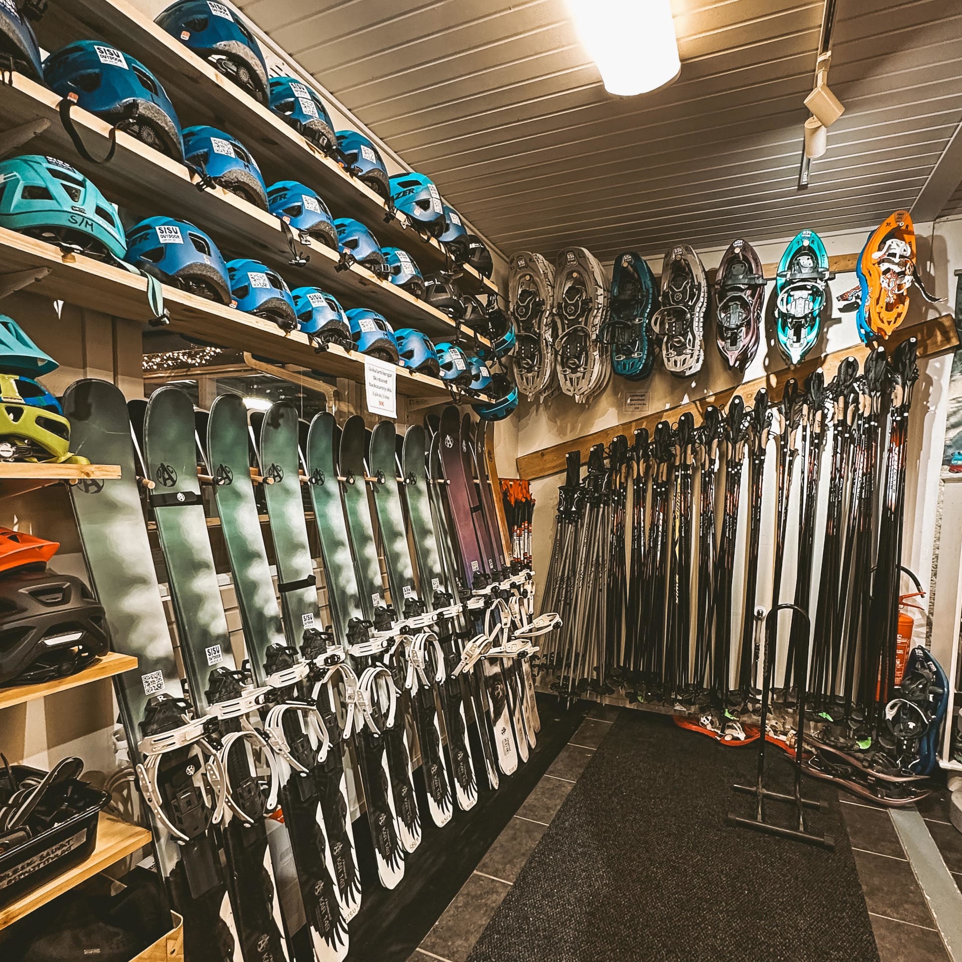 Snowshoes and Backcountry Skis