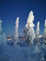 Up on Kuertunturi fell