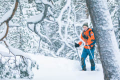 Walking in a forest with snowshoes