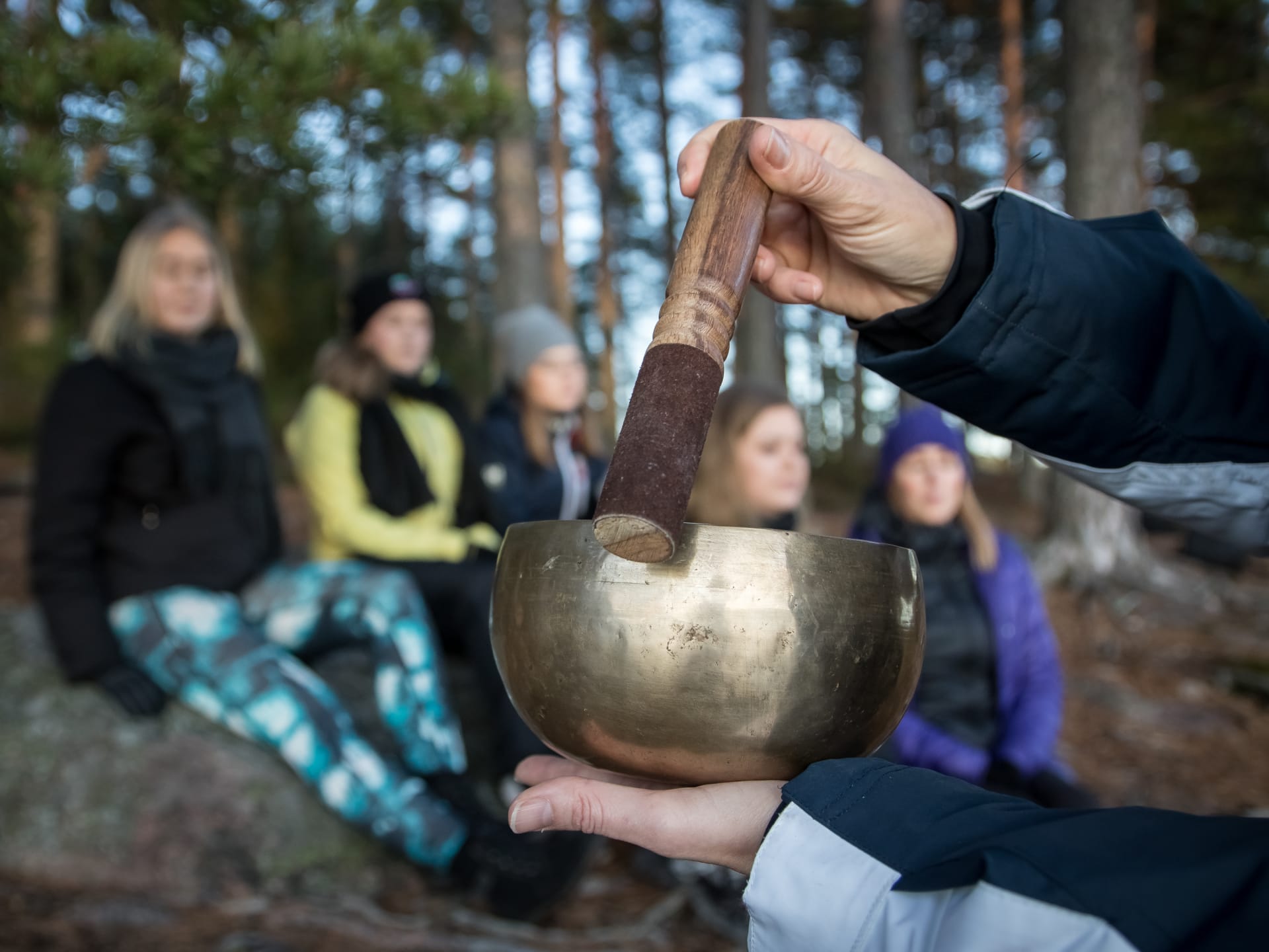 Äänimaljarentoutus Teijon Kansallispuisto