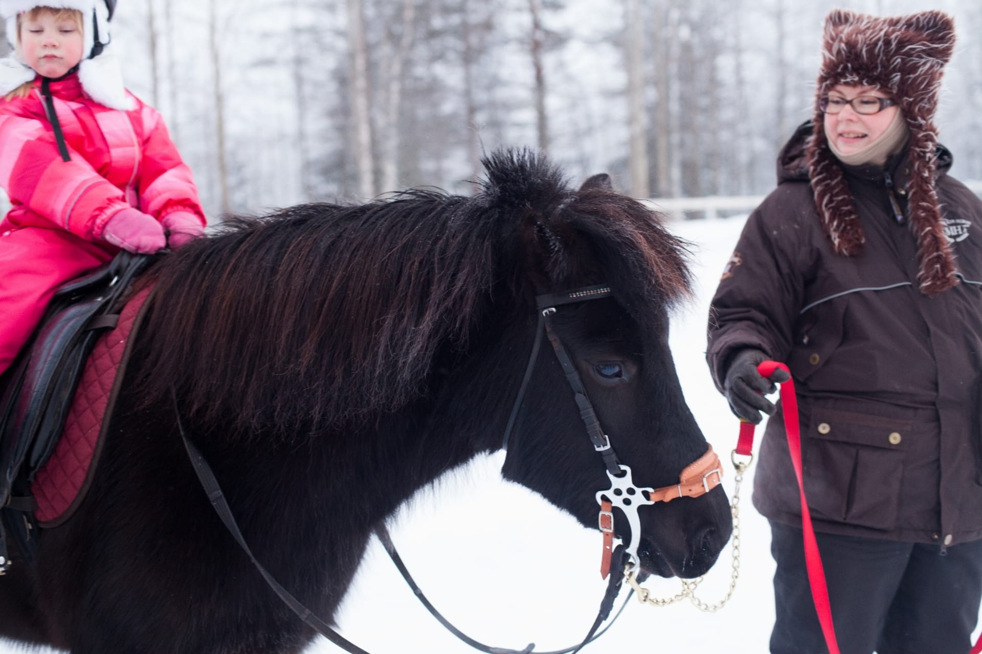 1h kids farm visit- lifestyle of a finnhorse farm from childrens view ...