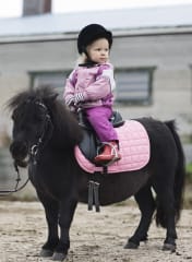 1h lasten oma tilavierailu – hevostilan elämää lapsen silmin