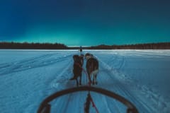 Apukka Resort Aurora Husky Tour